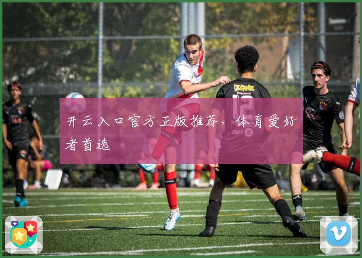 开云入口官方正版推荐，体育爱好者首选