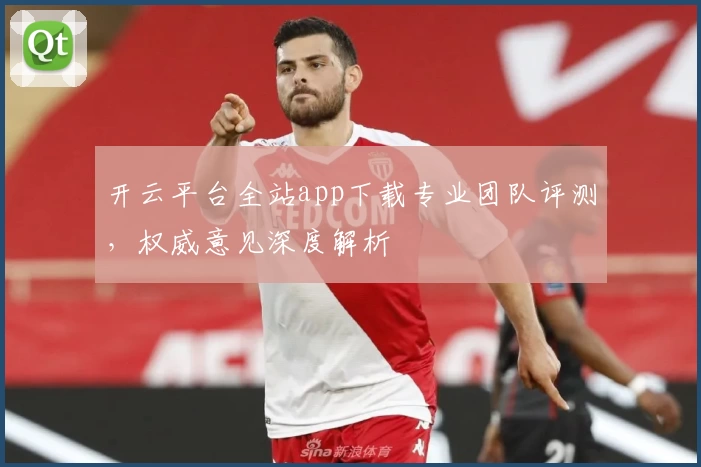 开云平台全站app下载专业团队评测，权威意见深度解析